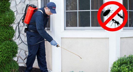 Erciş Kemirgen İlaçlama böcek ilaçlama ve haşere kontrolü — ilaclama-tr.com